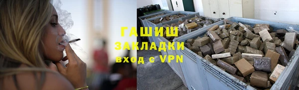 стаф Алзамай