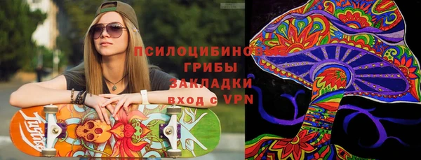 стаф Алзамай