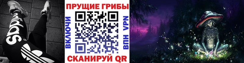 сколько стоит  блэк спрут   Псилоцибиновые грибы мицелий  Батайск 